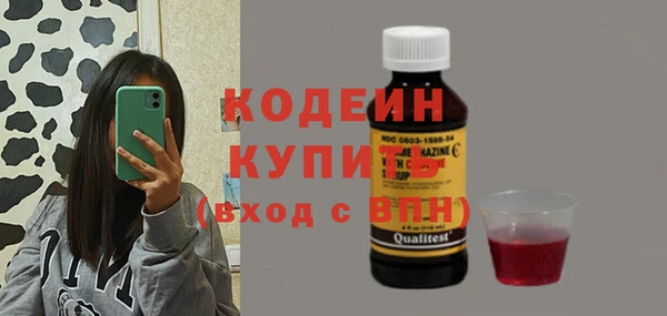 хмурый Покачи