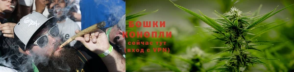 трава Алзамай