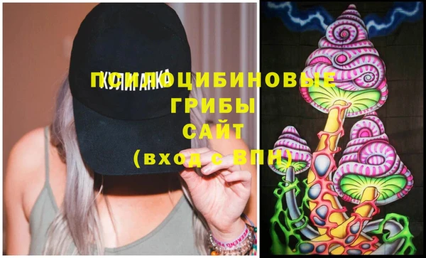 apvp Алексеевка