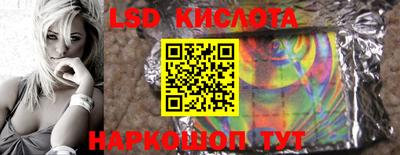 стаф Канаш