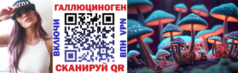 это клад  наркошоп  Краснознаменск  Псилоцибиновые грибы мухоморы 